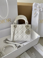 Mini Lady Dior