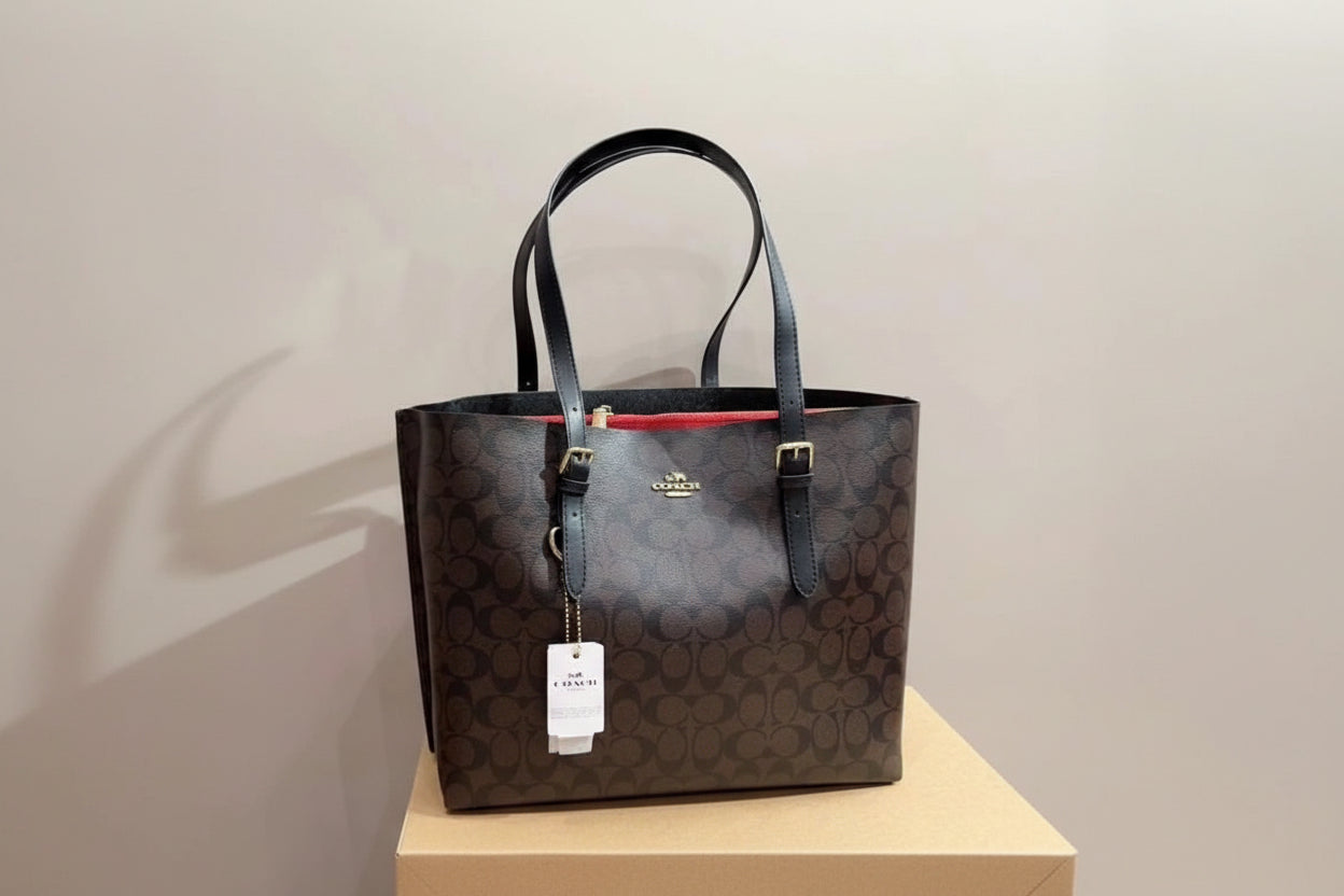 Coach Mollie Tote Bag