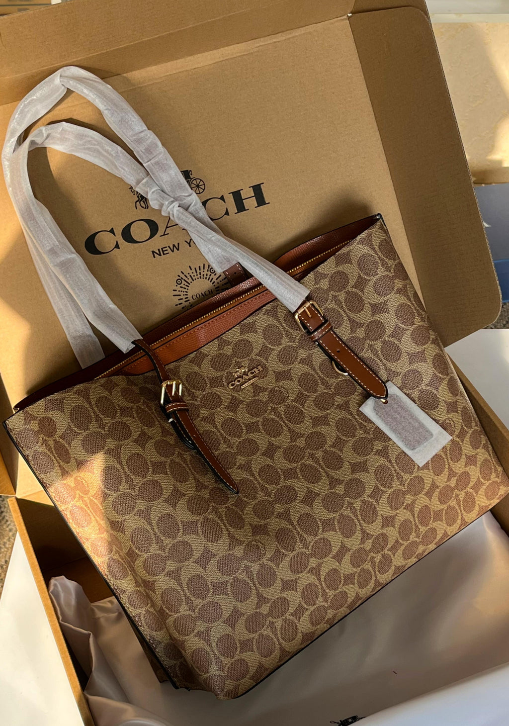 Coach Mollie Tote Bag